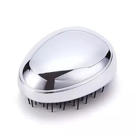 PARENCE - Professional Detangling Hair Brush for Long Curly Hair Thick Women Quick Drying (Silver)