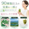 Kalmia Moringa Powder, 100% Powder, Produced in Kumamoto Prefecture, Individually