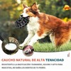Tires Dog Chew Toy Bite Resistant Teeth Grinding Dog Tire