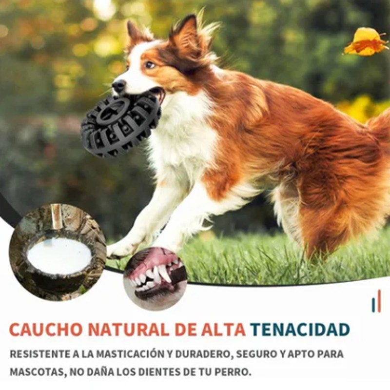 Tires Dog Chew Toy Bite Resistant Teeth Grinding Dog Tire