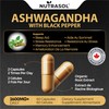 Organic Ashwagandha with Black Pepper | 2600mg Daily Dose |