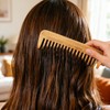 2pcs Bamboo Hair Comb Set, Natural Bamboo Wood Tail Combs