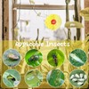 ZYEKIU Pack of 40 Fly Traps Indoor Fly Catcher Floral