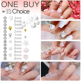 3D Flowers for Nails, 850pcs Nail Art Kit, Multi Design White/ Aurora Rose Nail Flower Charms, Crystal Nail Glitter Decals, Resin Flower Nail Decoration, 2 Sizes Golden Silver Beads for DIY Manicures