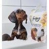 Frozzys Frozzys Superbites Grain Free Dog Treats with Probiotics, Rich