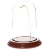 Plymor 3" x 5" Watch Glass Display Dome Cloche (Walnut