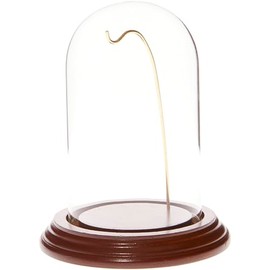 Plymor 3" x 5" Watch Glass Display Dome Cloche (Walnut Veneer Base & Gold Wire)
