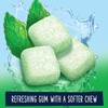EXTRA Refreshers Spearmint Chewing Gum, 40 Pieces (Pack of 4)