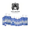Válquer Ice Hair Mask Ultra-feuchtigkeitsspendend - 1.000 ml