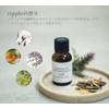 LIOVERITE Inner Spa Mask, 8.8 oz (250 g), Treatment, Scalp,