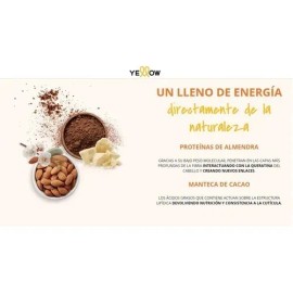 Shampoo Y Mascarilla Repair Yellow Alfaparf Cabello Dañado