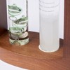 Chatani 333-S272GR Thermometer & Storm Glass, Green, H7.3 x W