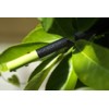 Perpetua Graphite Pencil, Black (NP01513)
