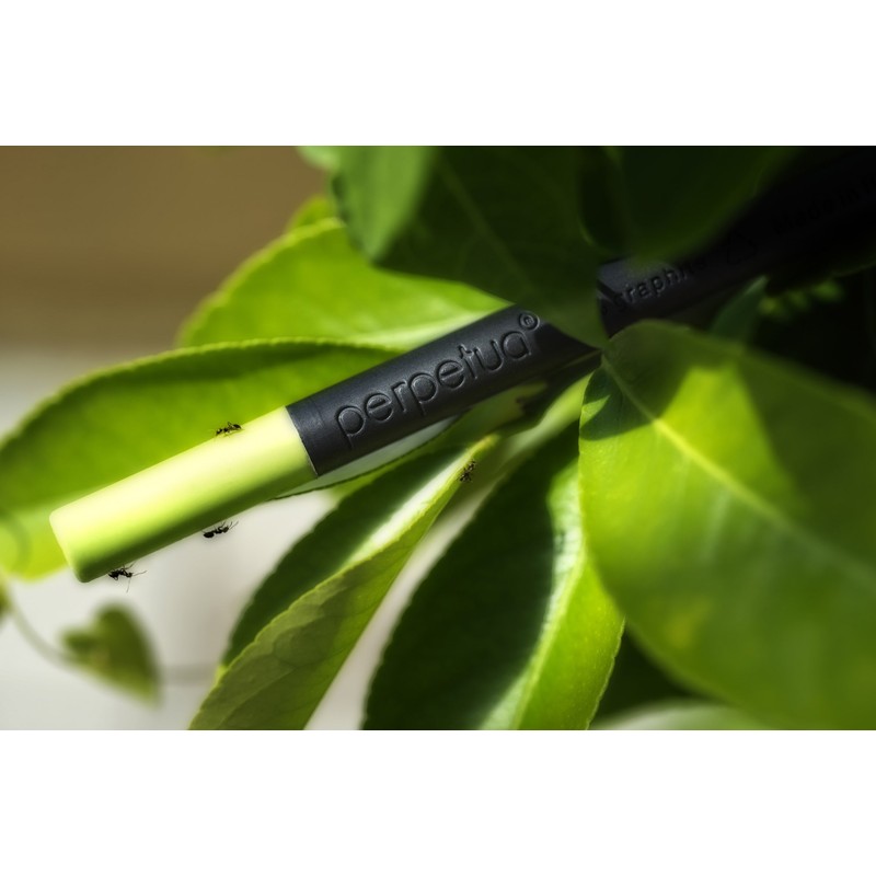 Perpetua Graphite Pencil, Black (NP01513)