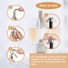 Champagne Bottle Opener and Bottle Stopper, Portable Zinc Alloy Sparkling