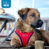 Voyager Step-in Air Dog Harness - All Weather Mesh, Reflective,