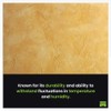| Marmorino Tintoretto Venetian Plaster | Matte/Low Sheen Lime Based