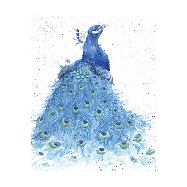 Wrendale Designs Greeting Card - TAIL ENVY (Peacock)