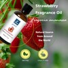 GM Gumili Strawberry Fragrance Oil, Perfume Oil, Home Scent Oils