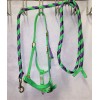 Windmill Monogrammed Horse Halters HORSE HALTER -  FREE NAME ON