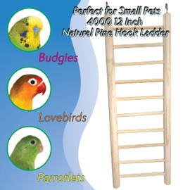 4000 12 Inch Natural Pine Hook Ladder - Straightforward Hanging Wood Ladder, Made from Natural Unfinished Pine Wood, Easy to Grab Round Parts, Great Exercise for pet Birds Budgie Finch Lovebird