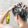 Desert Essence Lemon Tea Tree Shampoo & Conditioner Bundle -