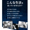 シードコムス ルテオリン 約1ヶ月分 キトサン 田七人参 ビタミンC アンセリン含有抽出物 サプリ サプメント 健康