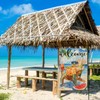 Summer Welcome Sea Turtle Garden Flag, Cute Turtle On Beach