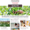 Pranarôm Bio Essential Oil Cineole Rosemary (Rosmarinus officinalis CT cineole)