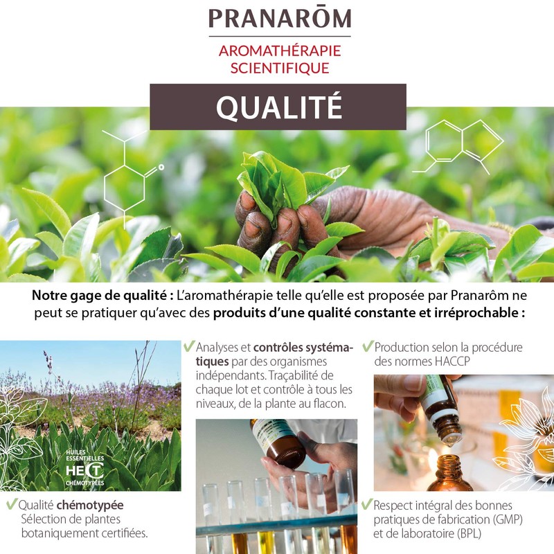 Pranarôm Bio Essential Oil Cineole Rosemary (Rosmarinus officinalis CT cineole)