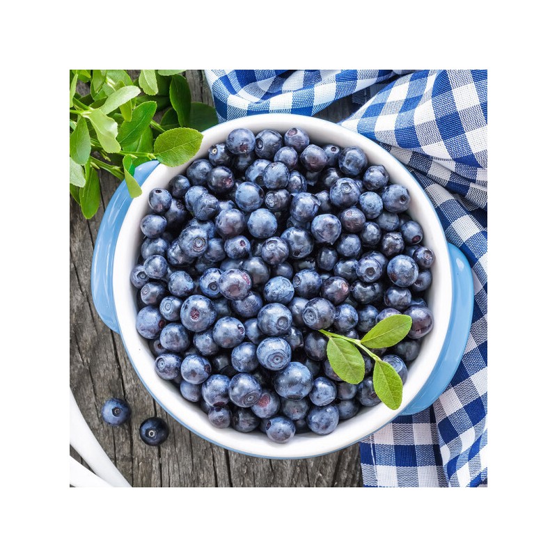 Anob Arnove Deep Damage Treatment EX 320ml / 어노브 딥