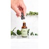 Ore Set de Productos de Orégano Natural, Aceite 30ml, Perlas