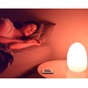 Mr.Go 8-inch LED Egg Light Nightlight Mood Lighting Lamp for