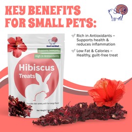 Snout and Shell Floral Favorites 4-in-1 Natural Treats for Small Pets – Pea Flakes, Marigold, Rose Petals & Hibiscus – Healthy Snacks for Rabbits, Guinea Pigs, Chinchillas & More