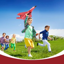 Liamostee RC Aeroplane 2.4GHz Remote Controlled, 2CH RC R C Aircraft RTF for Beginners Harvest-Controlled Flight with LED Light F Plane Toy Model Plane with for Beginners Children Adults