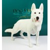 Leonardo All White Alsation German Shepherd Dog Figurine Statue Attractive