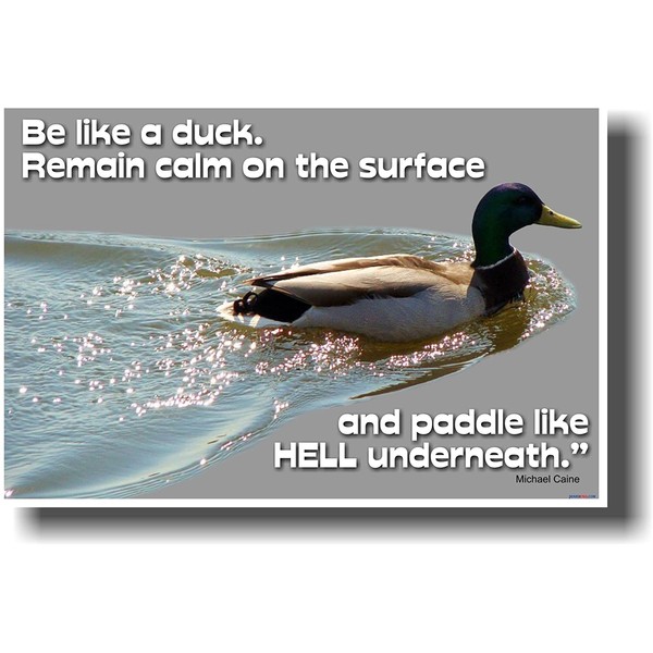 "Be Like a Duck. Remain Calm on the Surface and Paddle Like Hell Underneath." - Michael Caine Motivational Poster