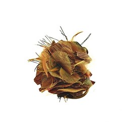 Zac's Alter Ego Multi-Shaded Fabric Rose Flower on Pin & Elastic with Feathers