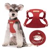 No Pull Small Dog Harness with Multifunction Dog Leash,Lightweight Soft Adjustable No Choke Escape Proof Pet Harness Vest Pet Harness Vest,red Hawthorn,S