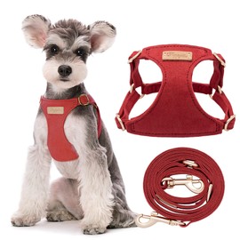 No Pull Small Dog Harness with Multifunction Dog Leash,Lightweight Soft Adjustable No Choke Escape Proof Pet Harness Vest Pet Harness Vest,red Hawthorn,S