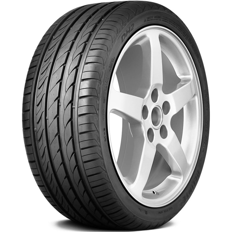 Delinte DH2 255/40R19 101Y BSW