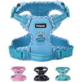 Petank Dog Harness Small Sized Dog, Puppy Harness Small Size Dog for Dog Training Walking, No Pull Dog Harness for Small Dogs, XXS Dog Harness (Blue, XXS)