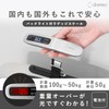 dretec Luggage Scale Backlight Silver