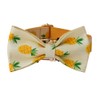 Love Dream Dog Collar with Bow Tie, Soft and Comfy