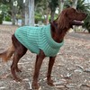 Huskimo Cali Knit Dog Jumper, Gumtree, 22cm