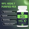 Solavica Liposomal Palmitoylethanolamide (Pea) 1100mg with Luteolin, Micronized Pea -
