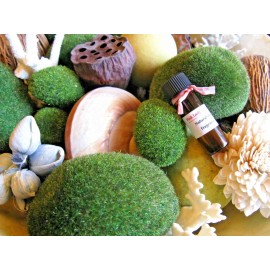 Pink Lady New Natural Patchouli Forest Path Premium Fragrance Bath & Body Oil--4ml.