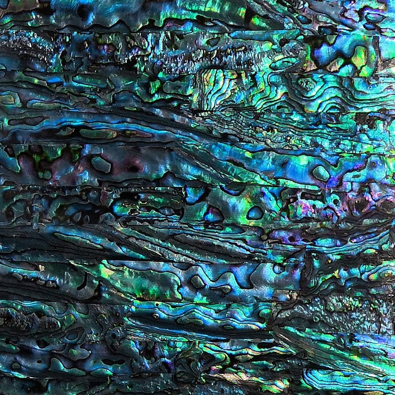 GOMMO Blue Paua Shell Veneer Sheet Enhanced for Inlay and