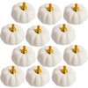 12Pcs White Artificial Pumpkins Bulk Autumn Decoration Set,Thanksgiving Pumpkin Decorations,Decorative