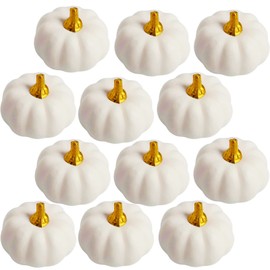 12Pcs White Artificial Pumpkins Bulk Autumn Decoration Set,Thanksgiving Pumpkin Decorations,Decorative Pumpkins Faux Harvest Fake Mini Foam Pumpkins for Crafts,Fall,Wedding,Home Halloween Party Decor